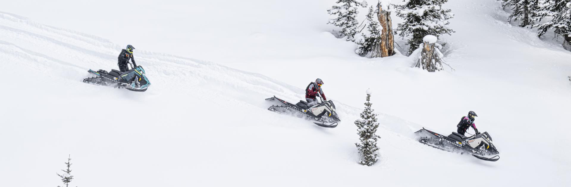 banner_2025_polaris.jpg