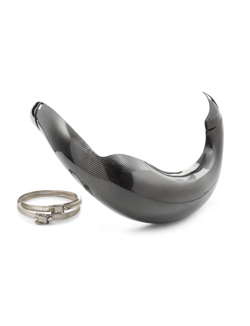 Expansion chamber guard 250