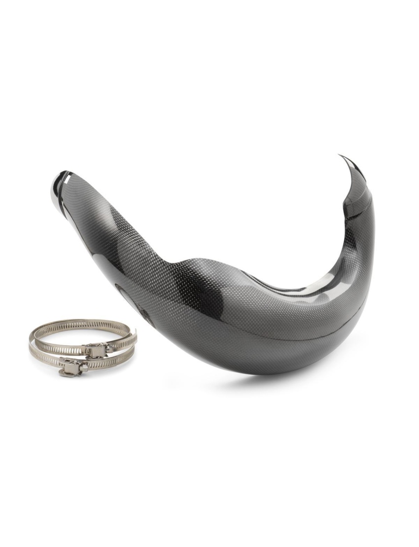 Expansion chamber guard 250