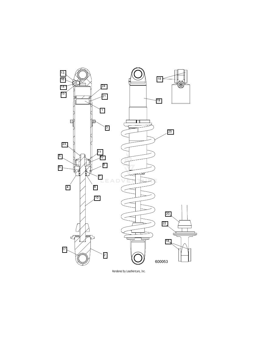 RTS SHOCK WITH BUMPER WALKER EVANS