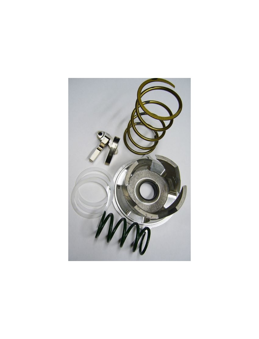 Variatorkit Polaris Pro RMK 155 Pro-Ride